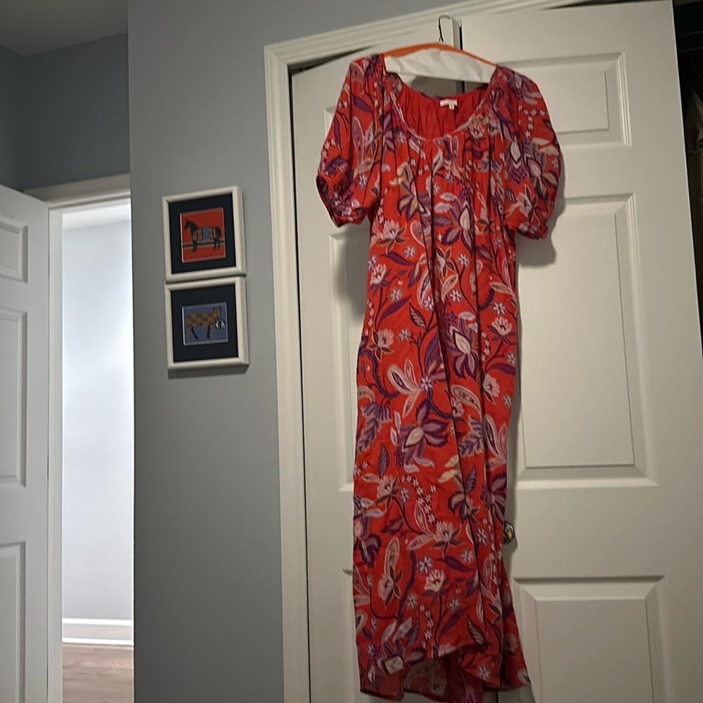 Sundry Exploded Floral Dress